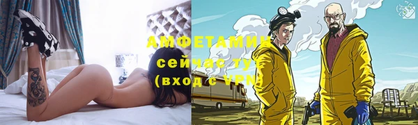 шишки Арсеньев
