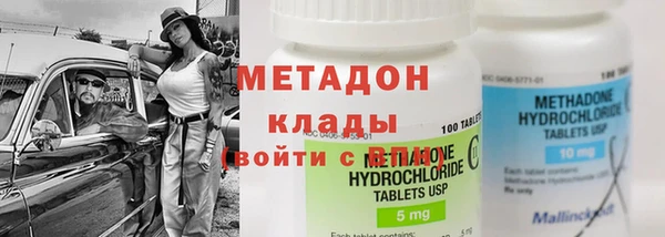 шишки Арсеньев