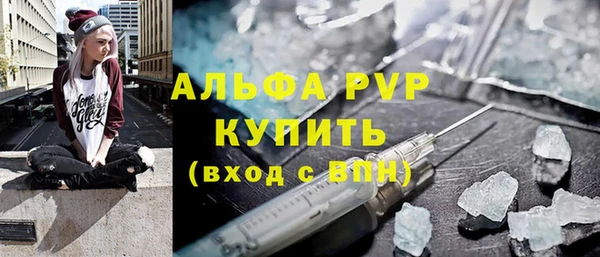 шишки Арсеньев