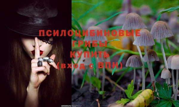 тгк Аркадак