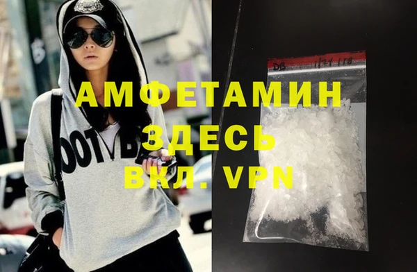 шишки Арсеньев